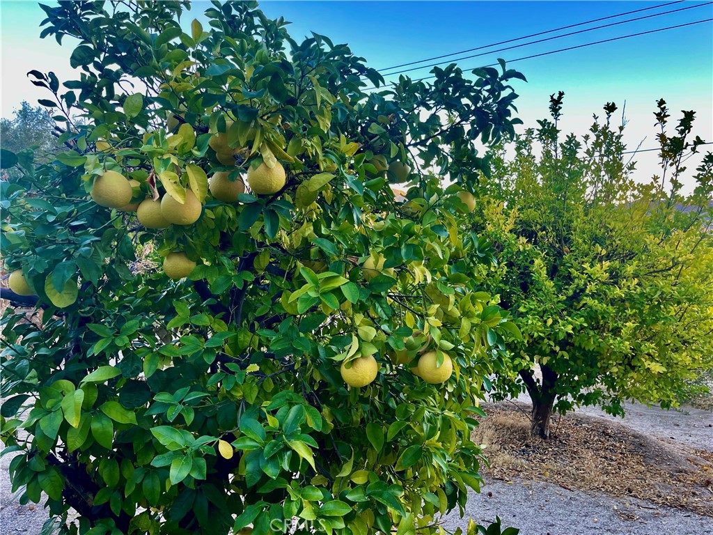 MLS #JT25223731 image #10