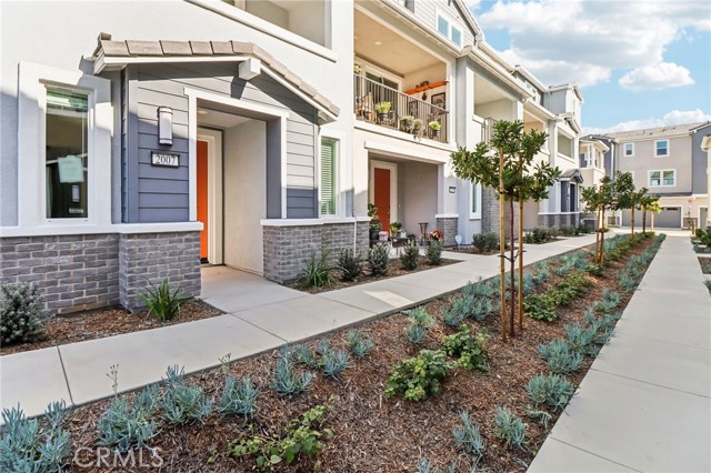 Front Image Thumbnail for CROC26023554