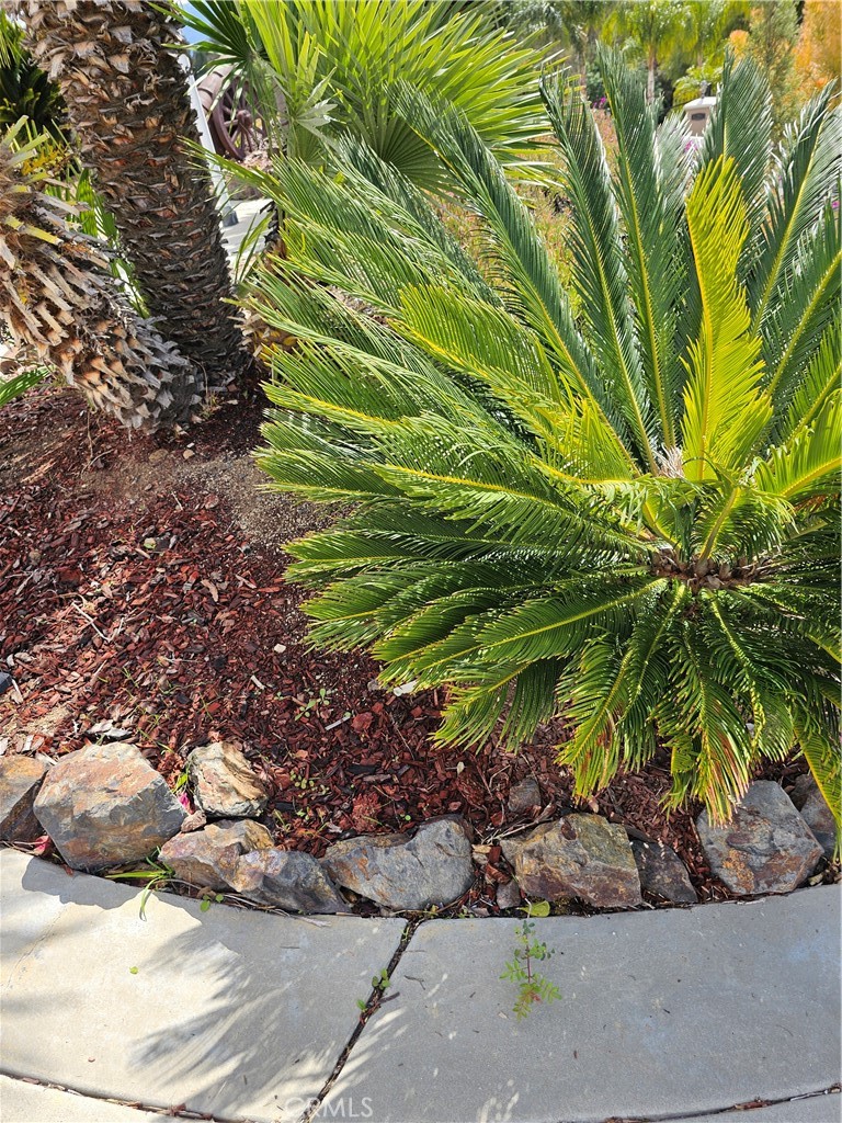 https://media.crmls.org/medias/6743ae39-b77a-45da-a58c-672271bb4151.jpg?preset=X-Large