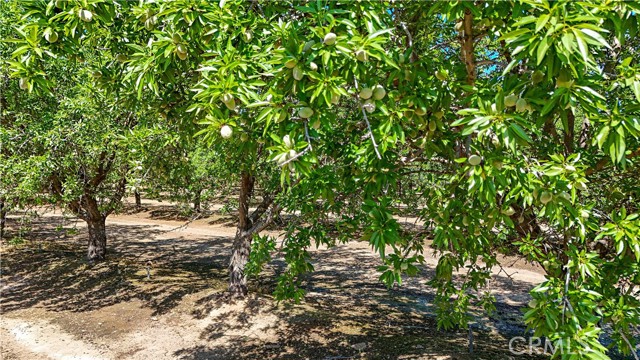 0 0 Minturn Road, Le Grand CA: https://media.crmls.org/medias/67448ceb-f43b-4eae-b05e-e912b5f340df.jpg
