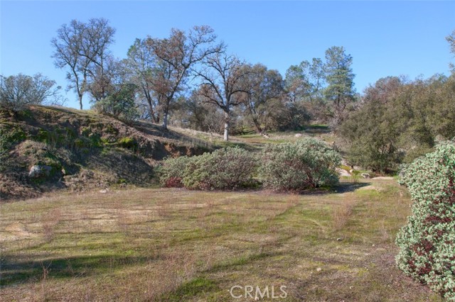 Detail Gallery Image 4 of 24 For 0 6.48 Ac Long Hollow Dr, Coarsegold,  CA 93614 - – Beds | – Baths