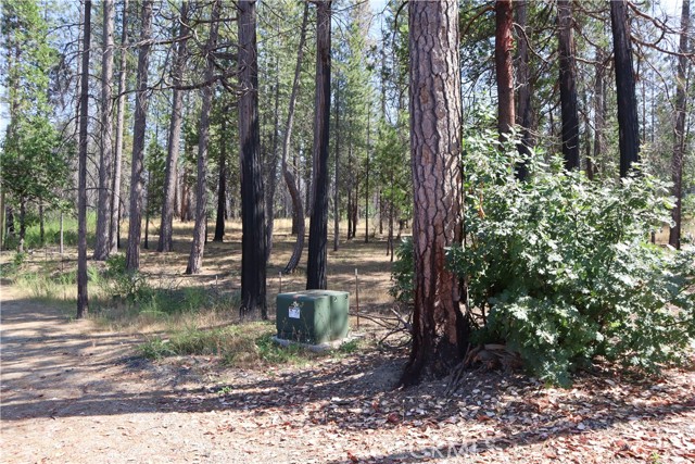 70 Ermarie, Berry Creek, CA, 95916 70 Ermarie, Berry Creek, CA, 95916