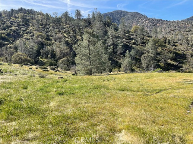 Caliente, CA 93518