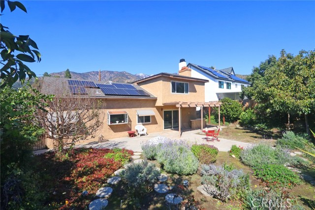 Backyard with avocado tree, drought tolerant plants and patio