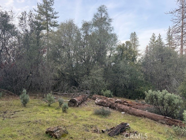 Detail Gallery Image 7 of 20 For 0 Rex Lane, Oroville,  CA 95966 - – Beds | – Baths