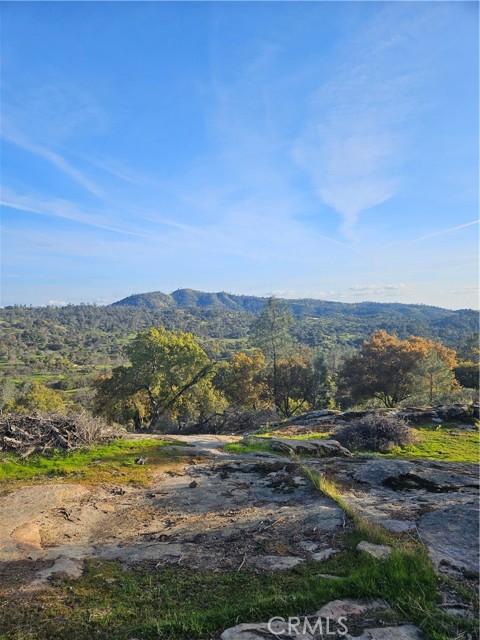 Detail Gallery Image 7 of 14 For 0 40ac Sierra Oaks Ln, Friant,  CA 93626 - – Beds | – Baths