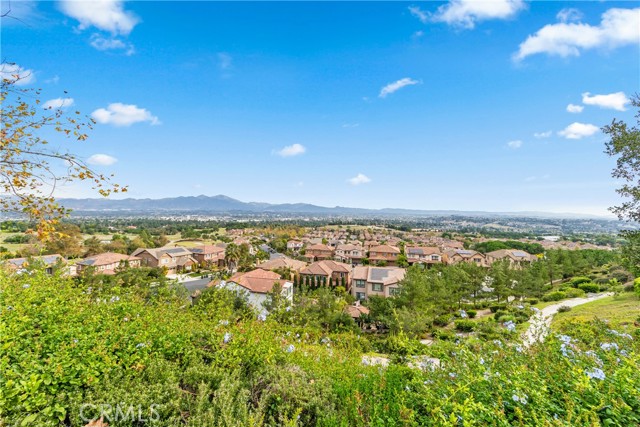 68 Verdin Lane, Aliso Viejo CA: https://media.crmls.org/medias/67621ed8-f99e-4218-9c74-1cd43abddc5b.jpg