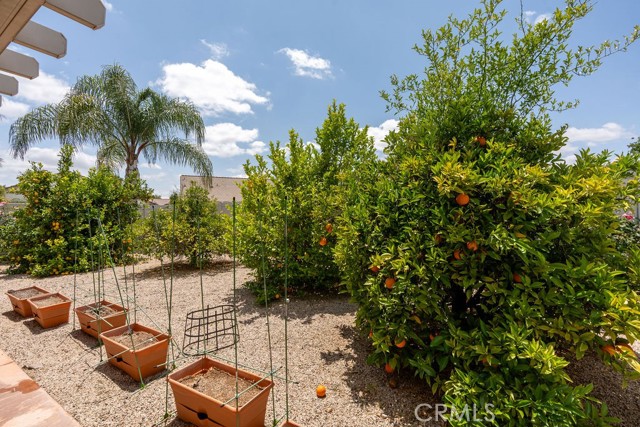 Detail Gallery Image 22 of 51 For 29557 Warmsprings Dr, Menifee,  CA 92584 - 2 Beds | 2 Baths