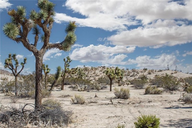 1 Avalon Avenue, Yucca Valley CA: https://media.crmls.org/medias/676d73cc-3684-4464-a0d8-1251de570990.jpg