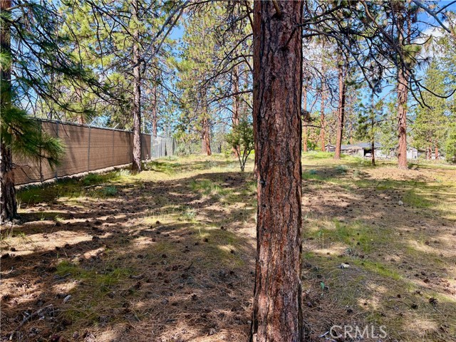 Image 24 of 54 For 0 S Lang Way