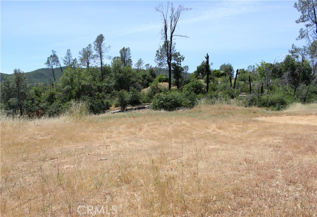 Detail Gallery Image 9 of 45 For 10255 Carrousel Dr, Redding,  CA 96001 - – Beds | – Baths
