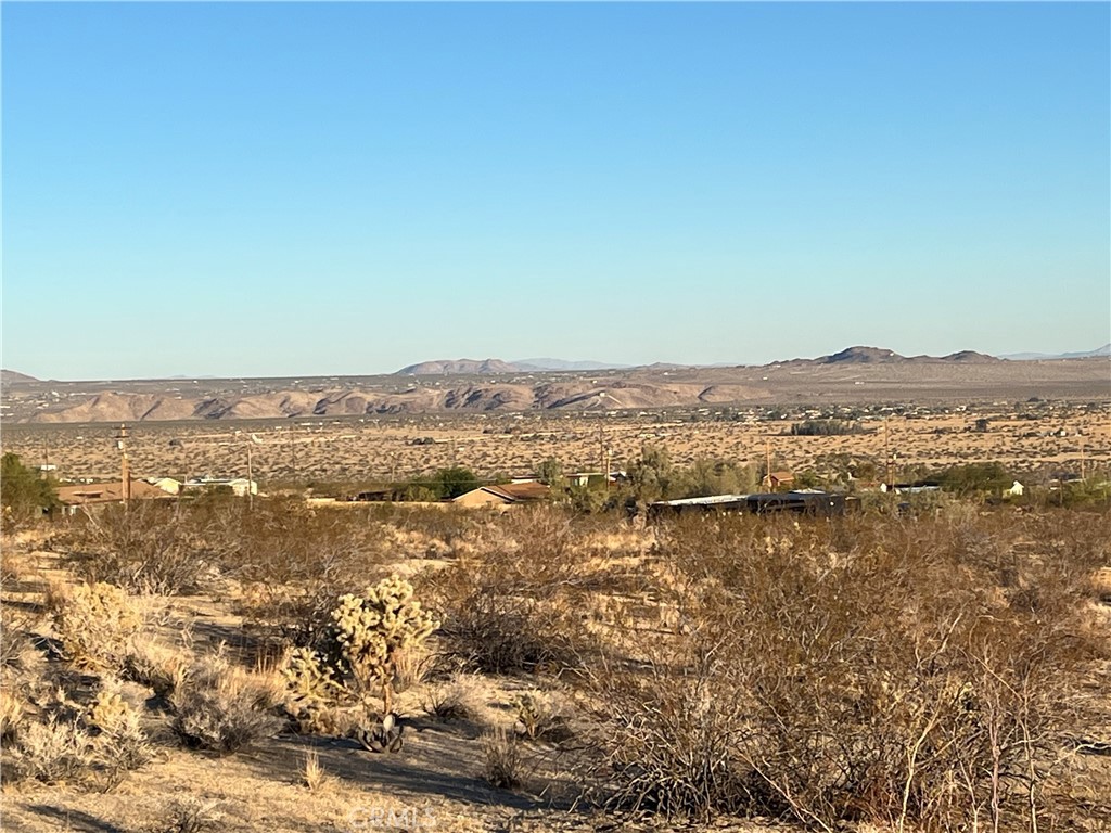 MLS #JT25250463 image #4