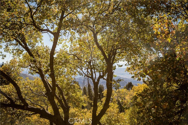 2461 Spring Oak Drive, Running Springs CA: https://media.crmls.org/medias/67750b0f-1eea-425f-951d-7cd616d4eecf.jpg