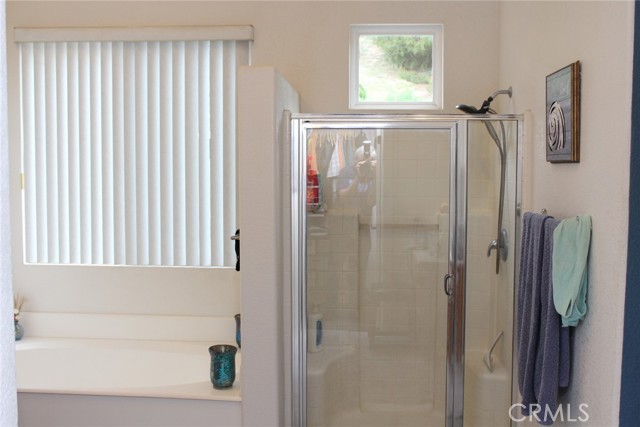 Master Bath View #2