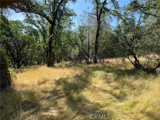 0 Rich Gulch Road, Yankee Hill, California 95965, ,Land,For Sale,0 Rich Gulch Road,CRSN23101845