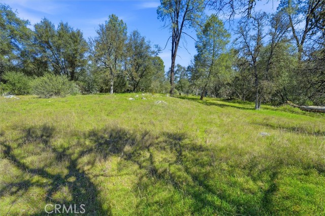 Detail Gallery Image 6 of 29 For 4260 Burl, Mariposa,  CA 95338 - – Beds | – Baths