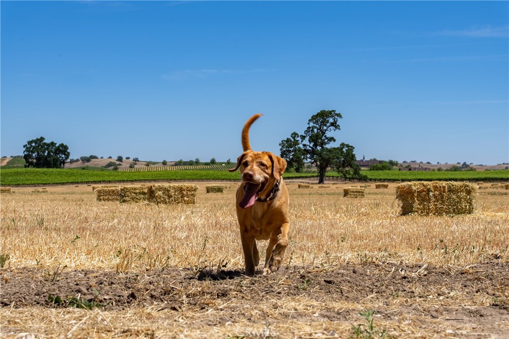 MLS #NS25115612 image #23