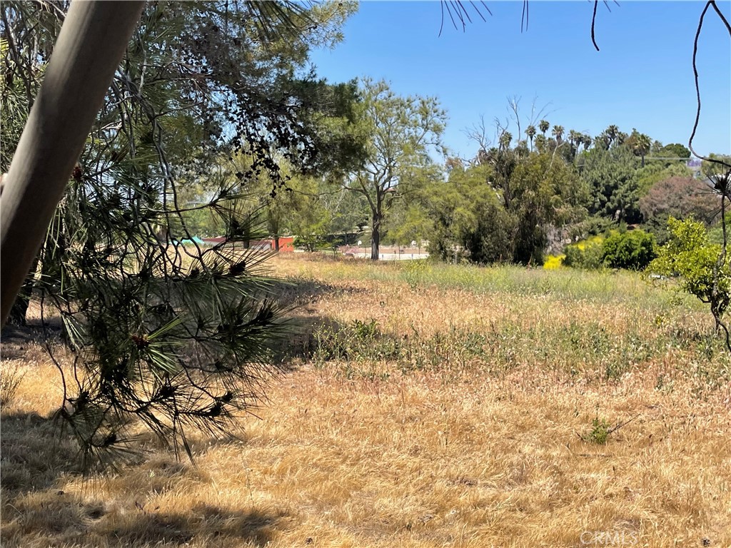 Linda Vista Drive - photo 17