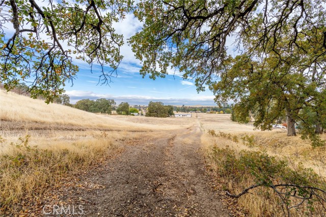 Detail Gallery Image 7 of 16 For 17315 Rancho Tehama Road, Corning,  CA 96021 - – Beds | – Baths