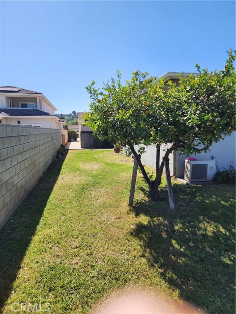 Back Unit Back Yard view to street