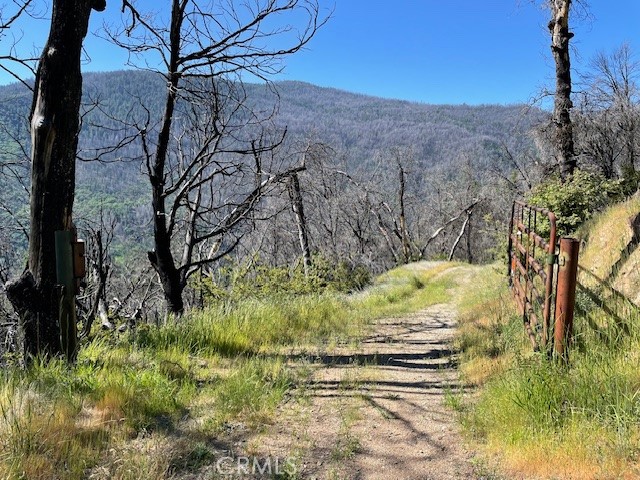 Detail Gallery Image 19 of 40 For 24 N. #35 Rd, Paskenta,  CA 96074 - 2 Beds | 1 Baths