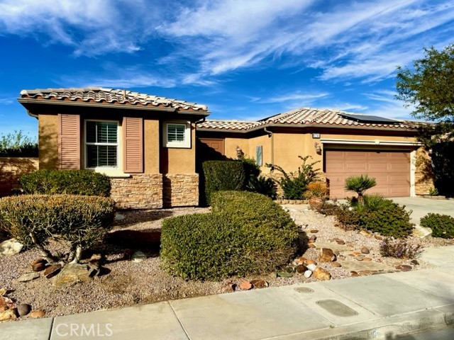 Front Image Thumbnail for CROC26025838