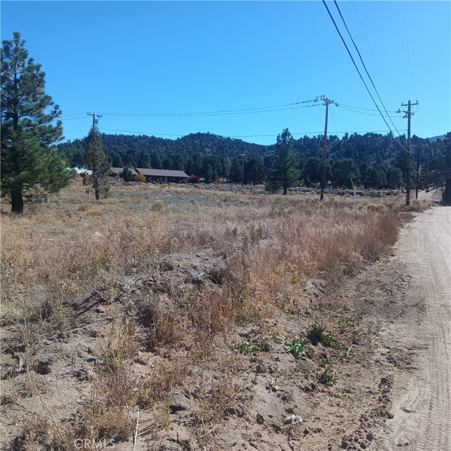 MLS #JT25255966 image #9