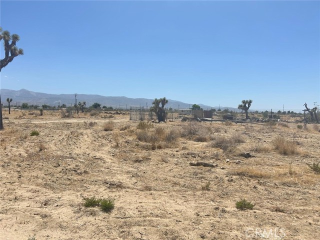 0 Tokay Road, Phelan CA: https://media.crmls.org/medias/67b34145-e43c-46e5-9fbf-a5e352f90bcf.jpg