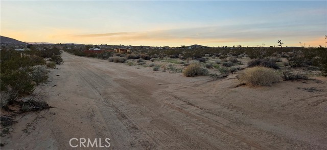Detail Gallery Image 5 of 6 For 0 Campanula St, Joshua Tree,  CA 92252 - – Beds | – Baths