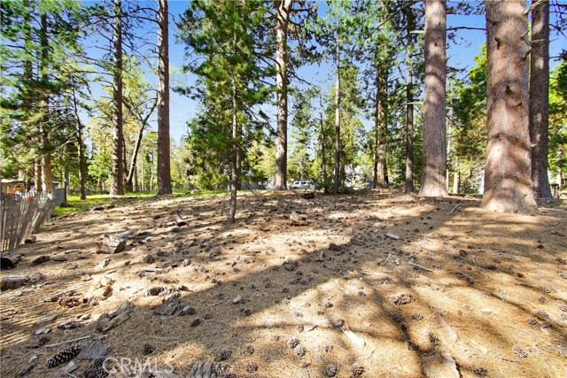 Detail Gallery Image 4 of 20 For 0 Pine Ridge Rd, Idyllwild,  CA 92548 - – Beds | – Baths