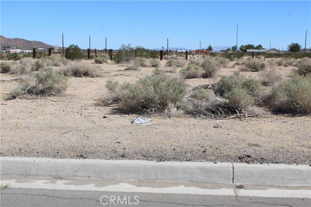 Detail Gallery Image 9 of 17 For 11 Dividing Line St, Yermo,  CA 92398 - – Beds | – Baths