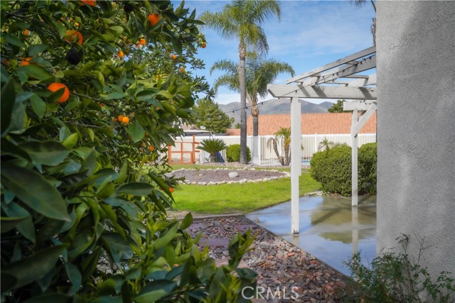 Detail Gallery Image 33 of 49 For 1621 Monterey Way, San Jacinto,  CA 92583 - 3 Beds | 2/1 Baths