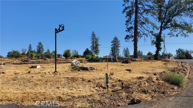 5325 Black Olive Drive, Paradise, California 95969, ,Land,For Sale,5325 Black Olive Drive,CRSN23197459