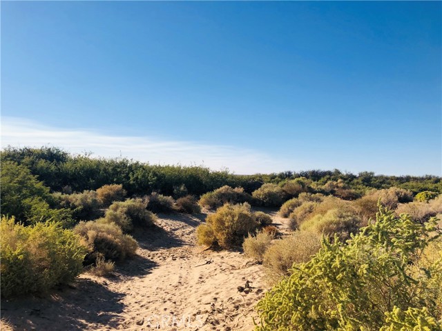 Detail Gallery Image 2 of 14 For 0 E of Mesquite Spr Rd, Twentynine Palms,  CA 92277 - – Beds | – Baths