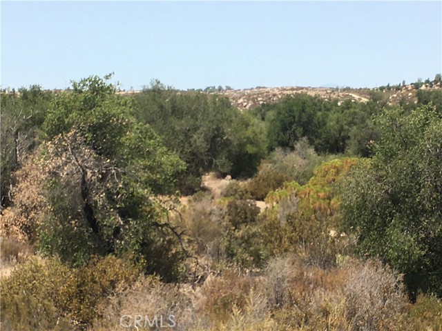 Detail Gallery Image 10 of 26 For 35010 Willow Creek Rd., Hemet,  CA 92544 - – Beds | – Baths