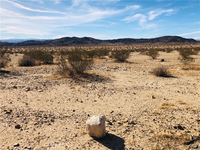 Detail Gallery Image 8 of 12 For 46 Desert Lily St, Joshua Tree,  CA 92252 - – Beds | – Baths