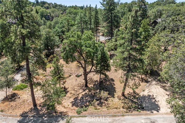 27115 Spring Lane, Lake Arrowhead CA: https://media.crmls.org/medias/67d2cac8-b5eb-4759-82da-01625cefb05c.jpg