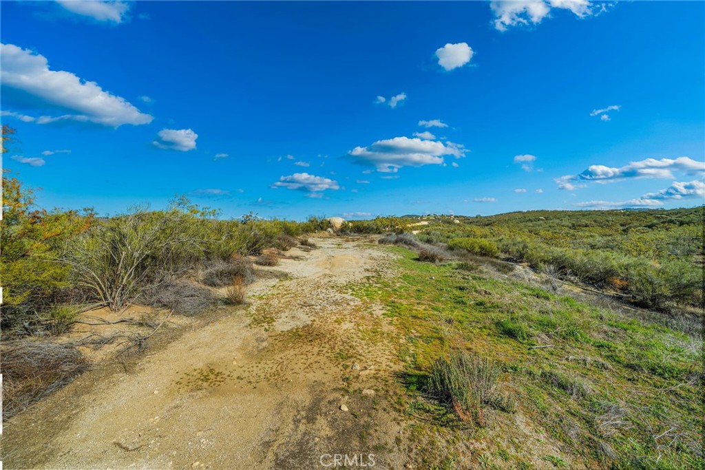 MLS #SW25270253 image #18