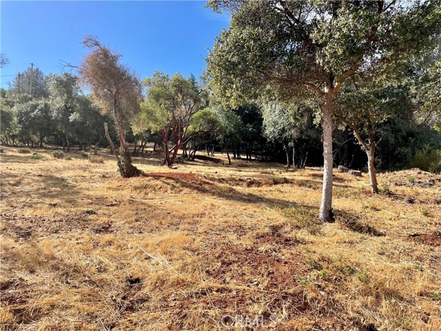 9729 Broadmoor Way, Kelseyville, California 95451, ,Land,For Sale,9729 Broadmoor Way,CRND23182464