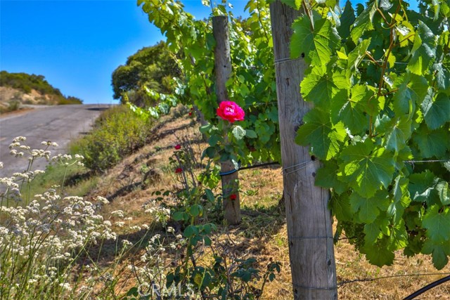 0 Via Herradura, Murrieta CA: https://media.crmls.org/medias/67daac49-afe1-41e6-b25a-3736e48090d3.jpg