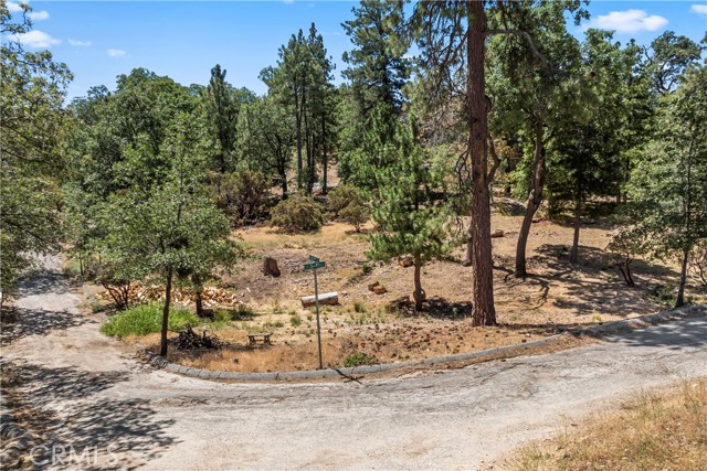 27115 Spring Lane, Lake Arrowhead CA: https://media.crmls.org/medias/67dfcb47-6eb8-4d35-8656-596fa12c67f3.jpg