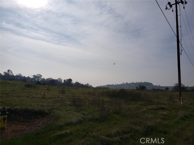 9600 Banderilla Drive, La Grange, California 95329, ,Land,For Sale,9600 Banderilla Drive,CRMC23191527