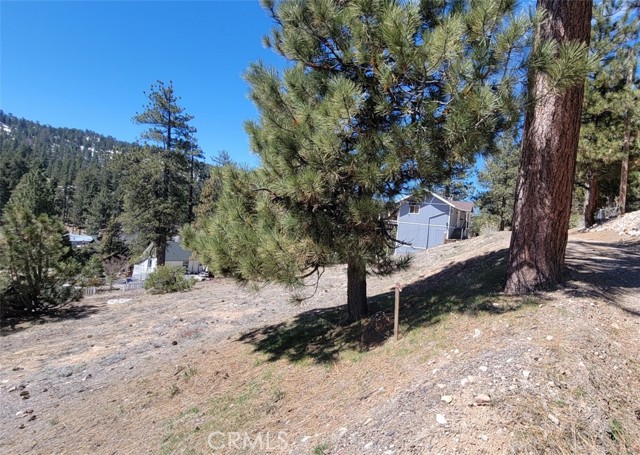 Detail Gallery Image 5 of 8 For 39243 Crest Ln, Big Bear Lake,  CA 92315 - – Beds | – Baths