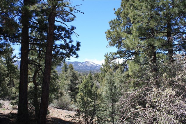 Detail Gallery Image 38 of 55 For 615 Kean Way, Big Bear City,  CA 92314 - – Beds | – Baths