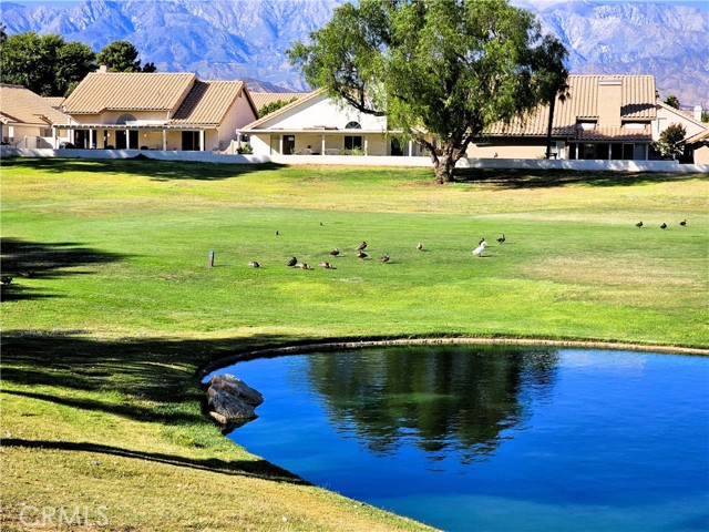 Detail Gallery Image 7 of 34 For 1470 Allin Ln, Banning,  CA 92220 - 3 Beds | 2/1 Baths