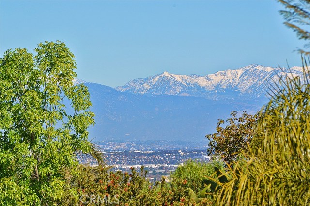 1977 Caddington Drive, Rancho Palos Verdes, California 90275, 3 Bedrooms Bedrooms, ,1 BathroomBathrooms,Residential,Sold,Caddington,SB17019451