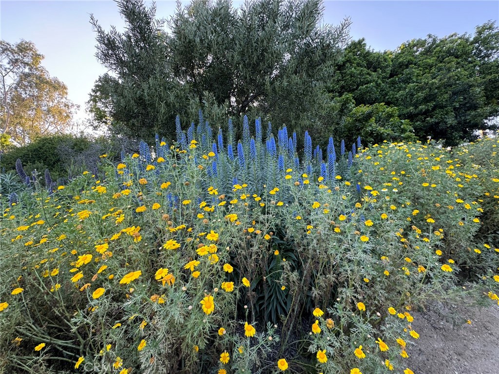 https://media.crmls.org/medias/67fccfe2-765b-4655-a7ab-409e1d174958.jpg?preset=X-Large