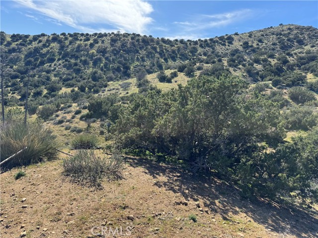 Detail Gallery Image 8 of 8 For 0 0, Acton,  CA 93510 - – Beds | – Baths