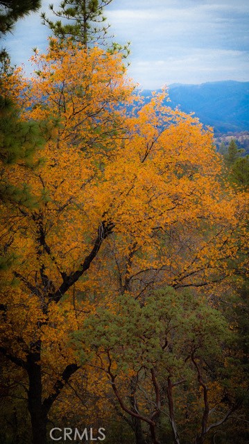 Detail Gallery Image 59 of 72 For 5333 Wilderness View Dr, Mariposa,  CA 95338 - 2 Beds | 2 Baths