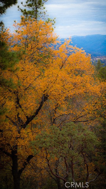 https://media.crmls.org/medias/68032edb-3ea2-44ba-af3d-04465e09893e.jpg?preset=X-Large